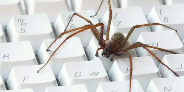 control de plagas en oficinas