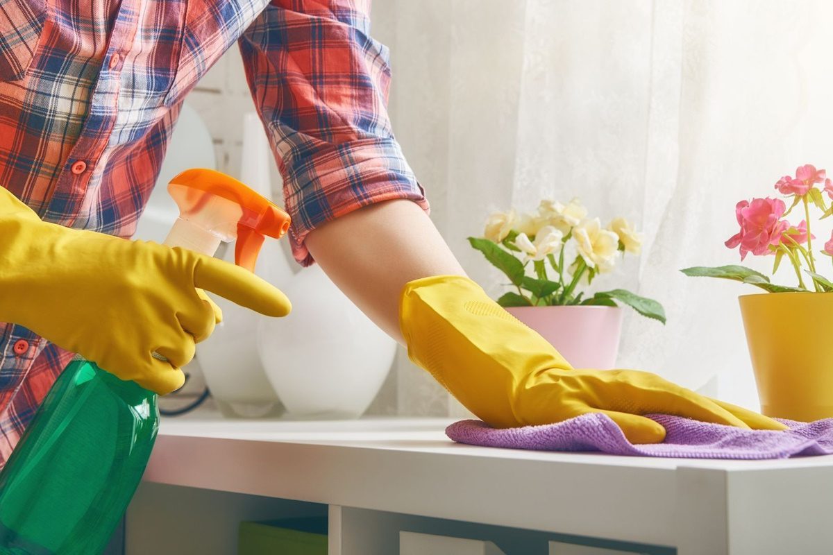 Prevención de termitas en viviendas con estructura de madera Casa protegida con barrera antitermitas