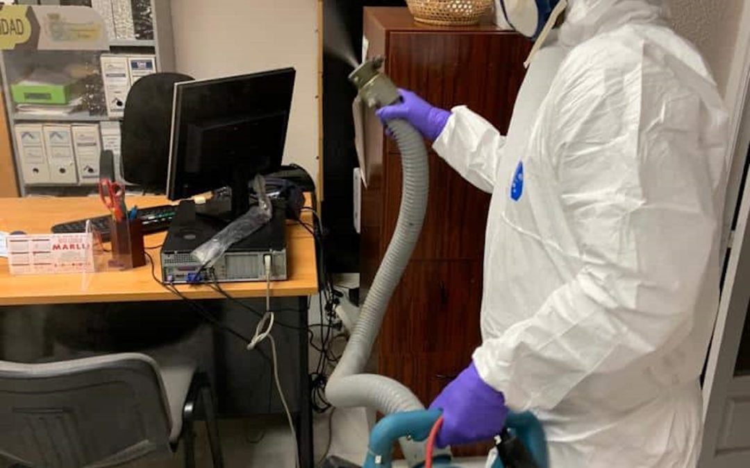 Garrapatas: enfermedades, riesgos y cómo prevenirlas