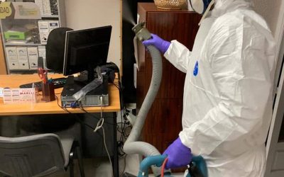 Garrapatas: enfermedades, riesgos y cómo prevenirlas
